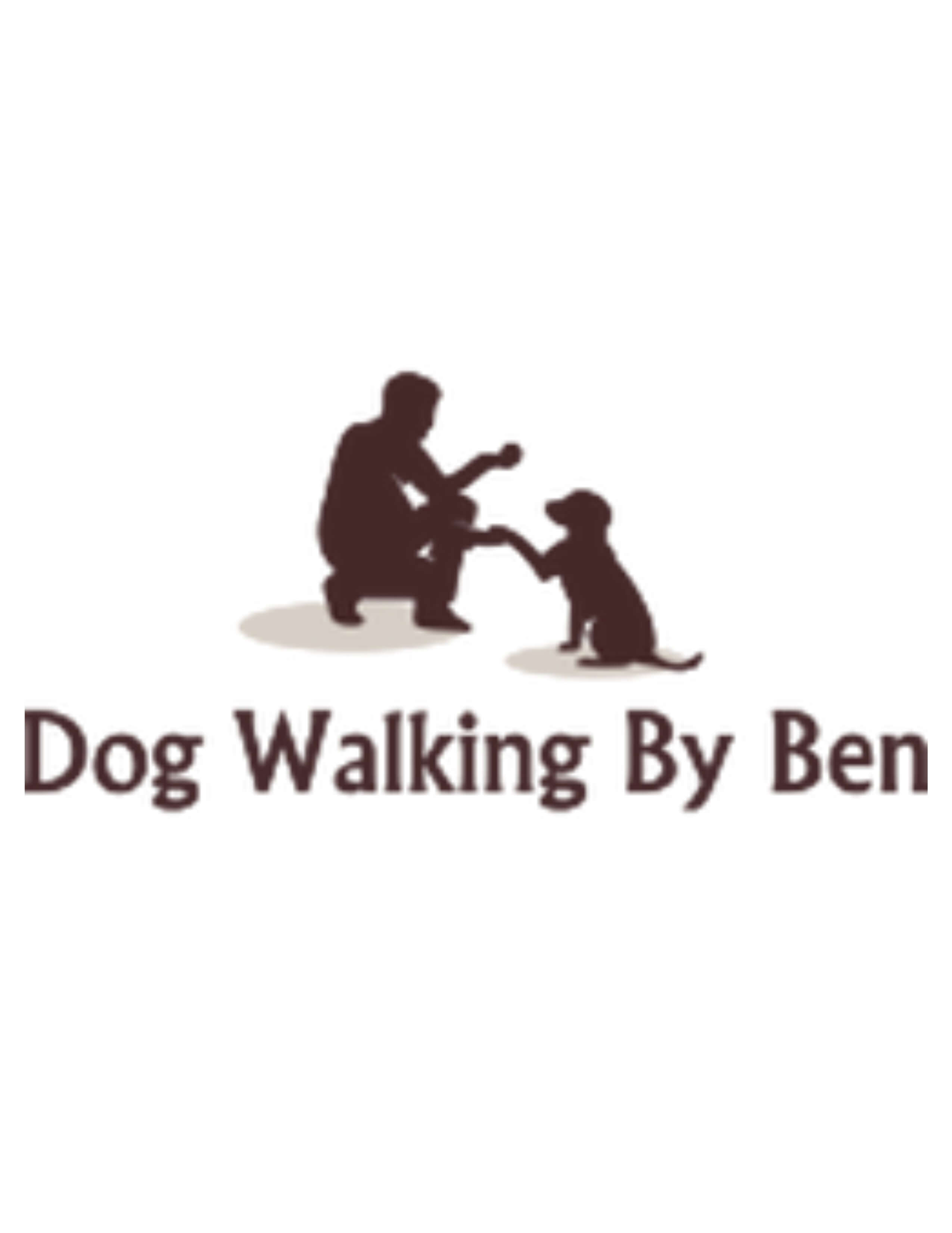 Winner small image - Dog Walking by Ben